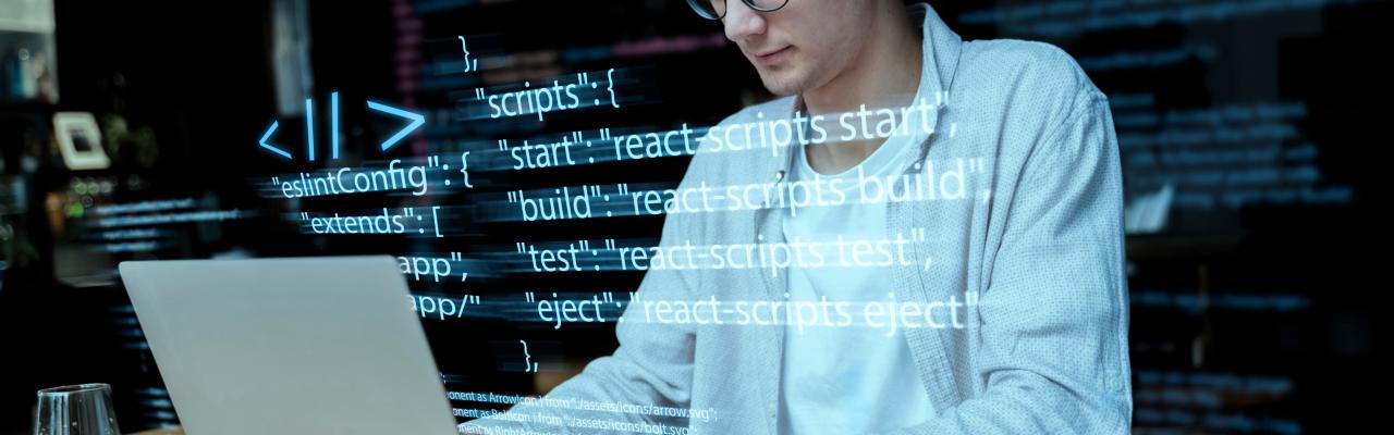 Software Training Services